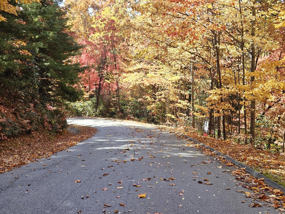 Mountain Colors - Broadstreet